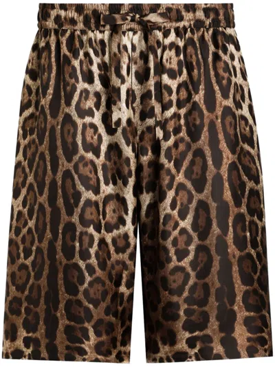 Dolce & Gabbana Leopard-print Shorts In Brown