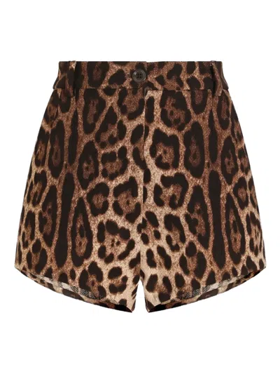 Dolce & Gabbana Leopard-print Shorts In Brown