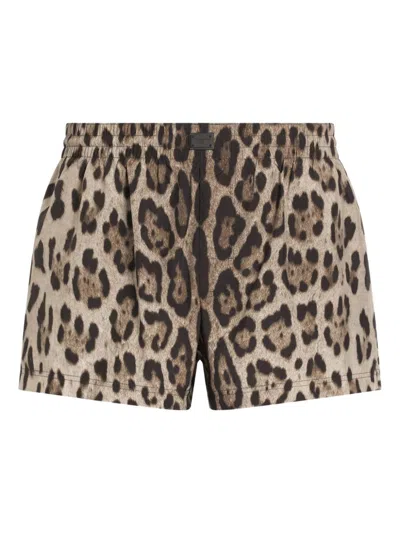 Dolce & Gabbana Badeshorts Mit Leoparden-print In Nude
