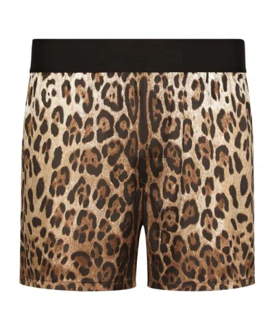 Dolce & Gabbana Leopard Print Shorts In White