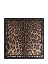 Dolce & Gabbana Leopard-print Silk Scarf Women In Brown