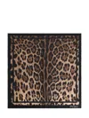 Dolce & Gabbana Leopard-print Silk Scarf Women In Brown