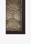 Dolce & Gabbana Leopard-print Silk Scarf In Brown