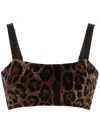 Dolce & Gabbana Leopard Print Chenille Top In Brown