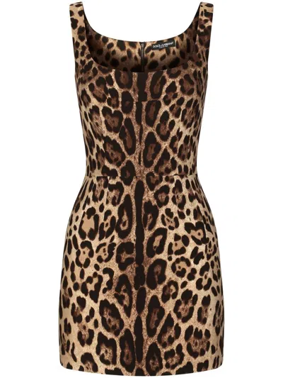 Dolce & Gabbana Minikleid Mit Leoparden-print In Animal Print