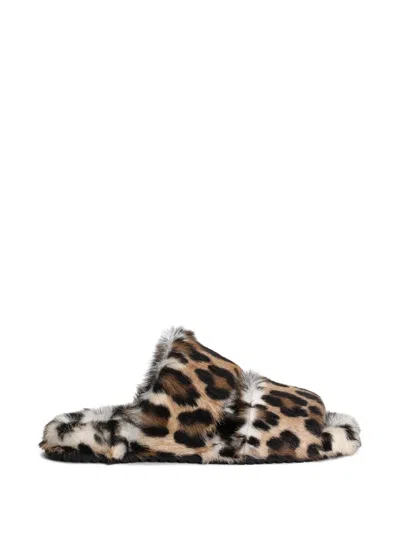 Dolce & Gabbana Slipper Mit Leoparden-print In Multi