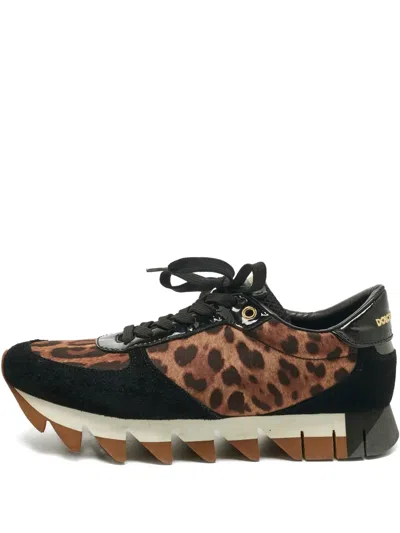 Pre-owned Dolce & Gabbana Leopard-print Sneakers In Brown