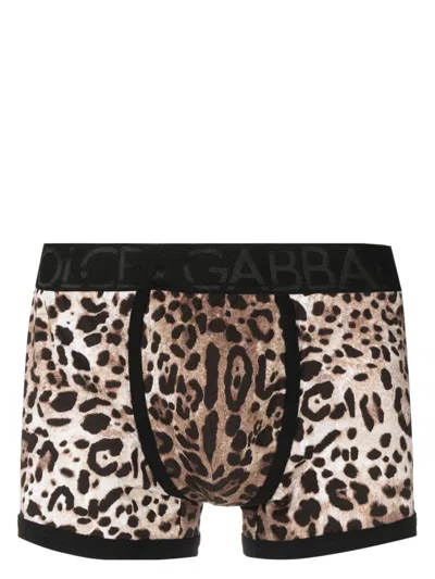 Dolce & Gabbana Leopard-print Stretch-cotton Boxers In Brown