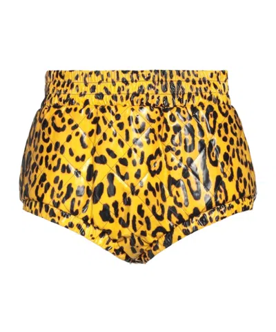 Dolce & Gabbana Leopard Print Stretch Shorts In Yellow