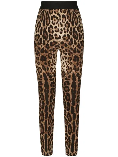 Dolce & Gabbana Leopard Print High-waist Charmeuse Leggings In Brown