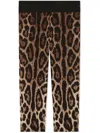 Dolce & Gabbana Leopard-print Leggings In Brown