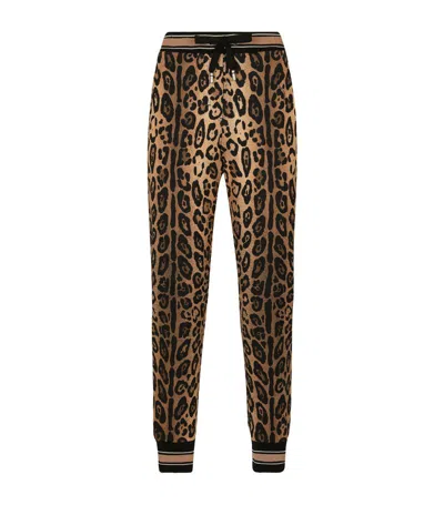 Dolce & Gabbana Leopard Print Sweatpants In Multi