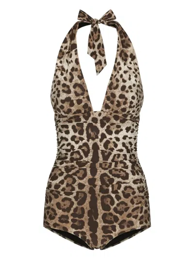Dolce & Gabbana Women Leopard Printed Sensitive Fabric One-piece Swimsuit In Brown