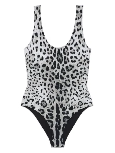 Dolce & Gabbana Leopard-print Swimsuit In Grey