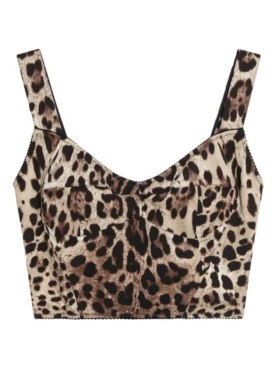 Dolce & Gabbana Cropped Leopard-print Stretch-canvas Bustier Top In Animal Print