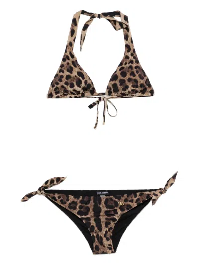 Dolce & Gabbana Leopard-print Tie Bikini In Brown