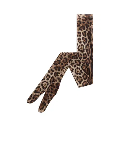 Dolce & Gabbana Leopard-print Tights In Multicolor