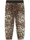 Dolce & Gabbana Leopard-print Leggings In Brown