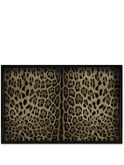 Dolce & Gabbana Leopard Print Tray In Black