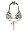 Dolce & Gabbana Leopard-print Triangle Bikini Top In Multi