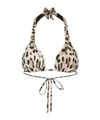 Dolce & Gabbana Leopard-print Triangle Bikini Top In Nude