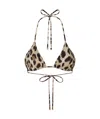 Dolce & Gabbana Leopard Print Two-piece Swimsuit In Nude