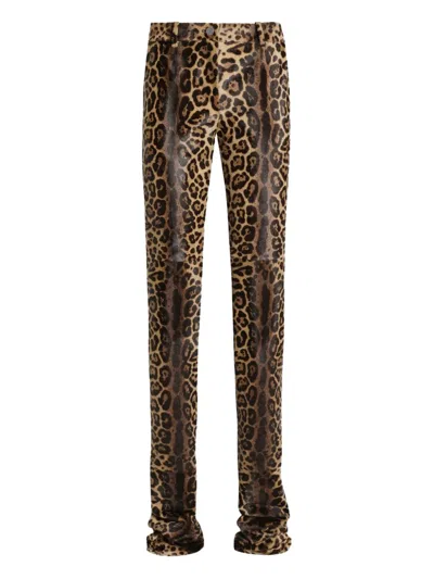 Dolce & Gabbana Leopard-print Trousers In Brown