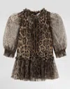 Dolce & Gabbana Leopard-print Ruffled Tulle Dress In Brown