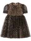 Dolce & Gabbana Leopard-print Tulle Dress In Brown