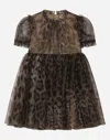Dolce & Gabbana Leopard-print Tulle Midi Dress In Animal Print