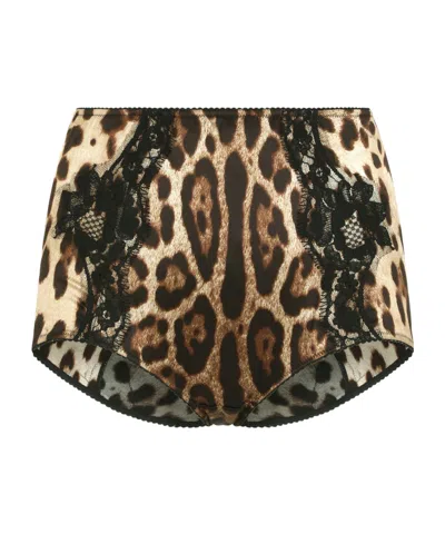Dolce & Gabbana Leopard-print High-waist Briefs In Brown