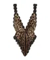 Dolce & Gabbana Dolce  Gabbana Leopard Printed Bodysuit In Multi