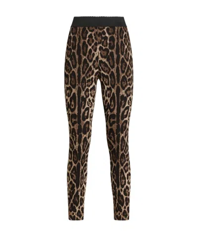 Dolce & Gabbana Leo-print Cady Leggings In Animal Print