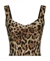 Dolce & Gabbana Leopard-print Charmeuse Bustier Top In Brown