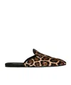 Dolce & Gabbana Dolce  Gabbana Leopard Printed Slides In Brown