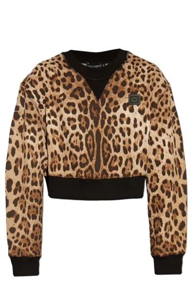 Dolce & Gabbana Leopard-print Jumper In Brown