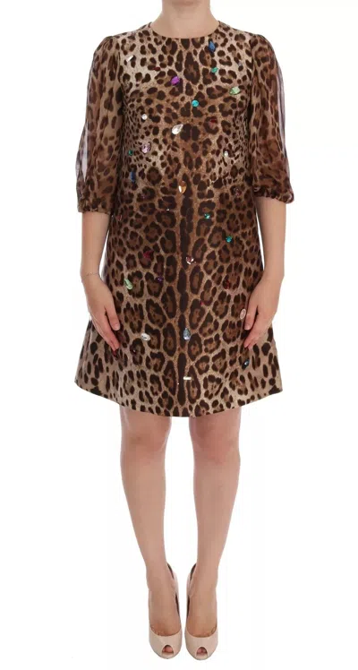 Pre-owned Dolce & Gabbana Leopard Silk Wool Crystal Shift Women's Dress () In Bown
