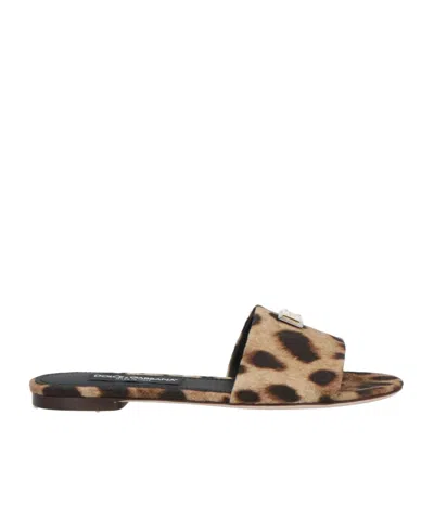 Dolce & Gabbana Leopard Woven Leather Slide Sandals In Black