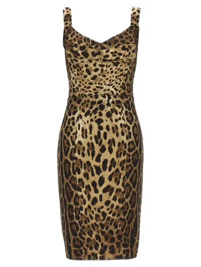 Dolce & Gabbana 'leopardo' Corset Dress In Multicolor