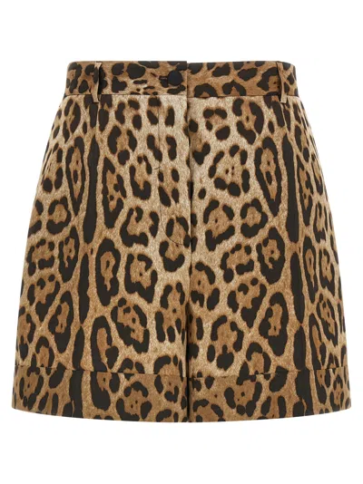 Dolce & Gabbana Leopard-print Cotton Bermuda Shorts In Brown