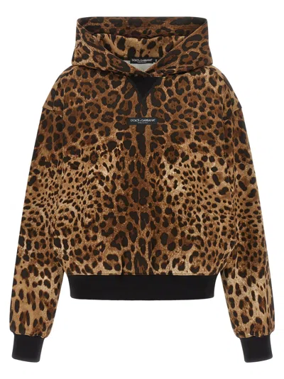 Dolce & Gabbana Leopard-print Cotton Hoodie In Brown