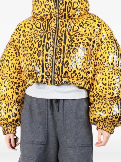 Pre-owned Dolce & Gabbana Leopard-print Cropped Puffer Jacket In Yellow