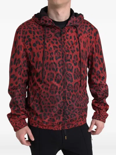 Dolce & Gabbana Leopard Hooded Bomber Full Zip Jacket In Black