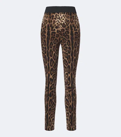 Dolce & Gabbana Leopard-print Leggings In Brown