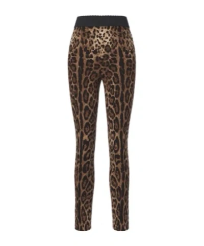 Dolce & Gabbana Leopard-print Leggings In Brown