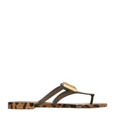 Dolce & Gabbana Leopard-print Logo Flip-flops In Brown