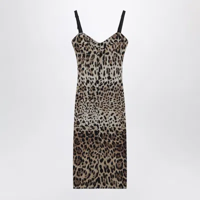Dolce & Gabbana Leopard-print Midi Sheath Dress In Multi