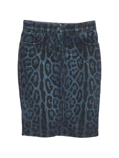 Pre-owned Dolce & Gabbana Leopard-print Pencil Skirt In Blue