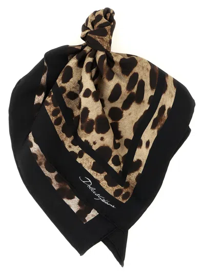 Dolce & Gabbana Leopard-print Scarf In Brown