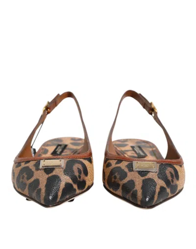 Dolce & Gabbana Leopard-print Slingback Flat In Brown